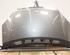 5345794 Motorhaube MERCEDES-BENZ A-Klasse (W169) A1698800057