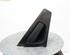 Door Handle RENAULT CLIO IV