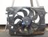 Radiator Electric Fan  Motor DACIA SANDERO, DACIA SANDERO II