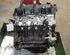 Motor kaal RENAULT TWINGO II (CN0_)