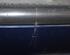 Antenne OPEL Zafira A (F75_)