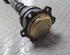 Drive Shaft AUDI A4 Avant (8D5, B5)