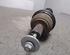 Drive Shaft FORD C-MAX (DM2), FORD FOCUS C-MAX (DM2)