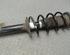 Suspension Strut PEUGEOT 107 (PM, PN)