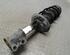 Suspension Strut FIAT Grande Punto (199), FIAT Punto (199), FIAT Punto Evo (199)