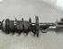 Suspension Strut FIAT Grande Punto (199), FIAT Punto (199), FIAT Punto Evo (199)