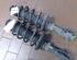 Suspension Strut VW Polo (6N1)