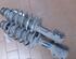 Suspension Strut VW Polo (6N1)