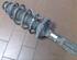 Suspension Strut VW Polo (6N1)