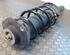 Suspension Strut VW Golf Plus (521, 5M1)