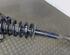 Suspension Strut AUDI A4 Avant (8E5, B6)