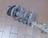 Suspension Strut FIAT Marea Weekend (185)