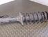 Suspension Strut VW Golf III (1H1)