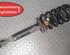 Suspension Strut VW Passat Variant (3B6)