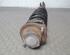 Suspension Strut DAIHATSU Sirion (M3), SUBARU Justy IV (--)