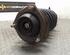 Suspension Strut NISSAN PRIMERA Traveller (W10)