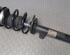 Suspension Strut BMW 1 (E87)