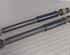 Shock Absorber RENAULT Clio II (BB, CB)