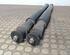 Shock Absorber RENAULT Clio III (BR0/1, CR0/1)