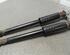 Shock Absorber FIAT Grande Punto (199), FIAT Punto (199), FIAT Punto Evo (199)