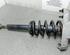 Shock Absorber AUDI A6 Avant (4F5, C6)