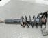 Shock Absorber AUDI A6 Avant (4F5, C6)