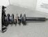 Shock Absorber AUDI A6 Avant (4F5, C6)