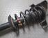 Shock Absorber AUDI A4 (8D2, B5)