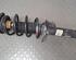 Shock Absorber SEAT TOLEDO III (5P2)