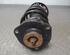 Shock Absorber SEAT TOLEDO III (5P2)