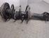 Shock Absorber NISSAN ALMERA TINO (V10)