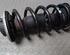 Shock Absorber VW PASSAT Variant (3B5)