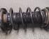 Shock Absorber VW POLO (9N_)