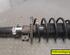 Shock Absorber VW POLO (9N_)