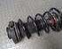 Shock Absorber VW POLO (9N_)