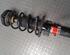 Shock Absorber VW POLO (9N_)