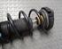 Shock Absorber VW POLO (9N_)