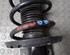 Shock Absorber VW POLO (9N_)