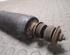 Shock Absorber FORD MAVERICK (UDS, UNS), NISSAN TERRANO II (R20)