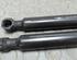 Bootlid (Tailgate) Gas Strut Spring DACIA Logan MCV II (--)