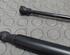 Bootlid (Tailgate) Gas Strut Spring RENAULT Grand Scénic III (JZ0/1), RENAULT Scénic III (JZ0/1)