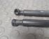 Bootlid (Tailgate) Gas Strut Spring PEUGEOT 207 (WA, WC)