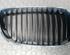 Radiator Grille BMW 1er (E81), BMW 1er (E87)