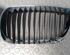 Radiator Grille BMW 1er (E81), BMW 1er (E87)