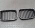 Radiator Grille BMW 5er (E39)