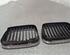 Radiator Grille BMW 5er (E39)