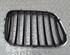 Radiator Grille BMW X5 (E53)