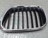 Radiator Grille BMW X5 (E53)