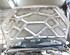 Radiator Grille FORD Focus (DAW, DBW)