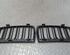 Radiator Grille BMW 3er (E90)